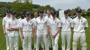 Image result for Peper Harow Cricket Club