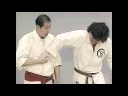 Image result for Komaru Ryu Small Circle Jujitsu/Karate