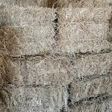 Image result for 붶