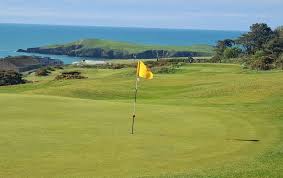 Image result for Cardigan Golf Club