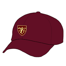 Image result for Wilmslow Wayfarers Cricket Club