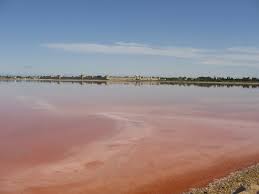 Image result for parque natural de camargue