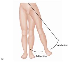 Image result for body midline