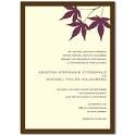 Bridal Shower Invitations : Wedding Shower Invitations 