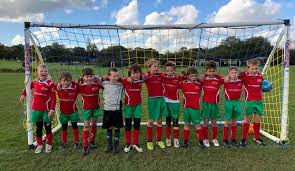 Image result for Chiddingfold Youth Fc