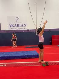 Image result for Arabian School Of Gymnastics