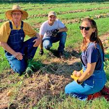 Image result for Orbit Infant System Jennifer Garner