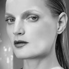 Image result for Guinevere van Seenus