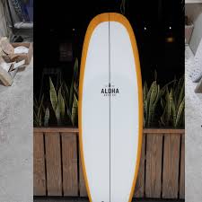 Image result for Aloha Sailboards