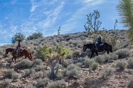 Image result for Old Park Riding Stables