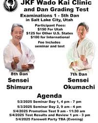 Image result for Karate Wado Kai