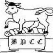 Image result for Blagdon Cricket Club