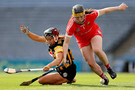 Image result for Cork Rebels