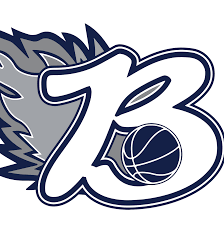 Image result for Bromsgrove Blaze Basketball Club