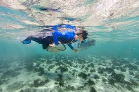 Image result for East Snorkellers