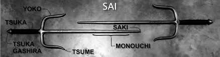Image result for Sai Martial Arts