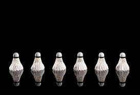 Image result for Avon Vale Badminton Club