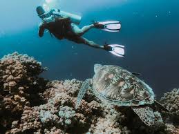 Image result for Underwater Adventures
