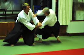 Image result for Bracknell Aikido Club