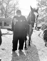 Image result for East Flegg Riding Club