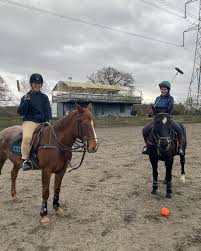 Image result for Reading University Riding Club