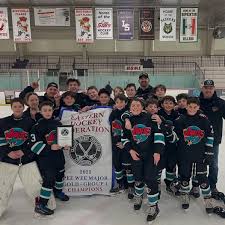 Image result for Vipers Roller Hockey Team