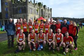 Image result for Annadale Striders Ac