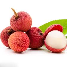 Image result for Litchi chinensis