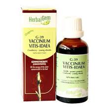 Attēlu rezultāti vaicājumam “Vaccinium vitis-idaea bud”