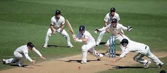 Image result for Elmswell Cricket Club