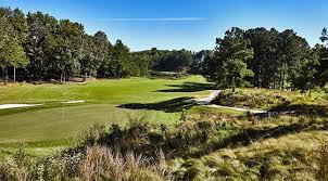 Image result for The Alt Golf Club