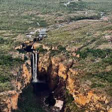 Billedresultat for kakadu n...