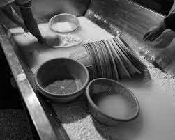 Attēlu rezultāti vaicājumam “Gelechia jakovlevi”