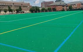 Image result for Astroturf