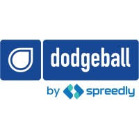 Image result for The Dodgeball Company