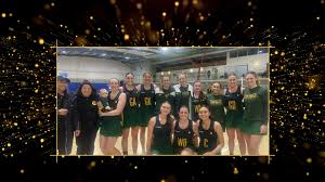 Image result for Carlton Netball Club