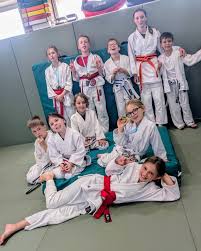 Image result for Comberton Judo Club