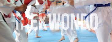 Image result for Witney Taekwondo