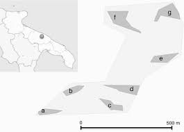 Attēlu rezultāti vaicājumam “Euphydrias aurinia underside”