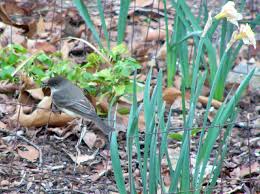 Image result for 20070322