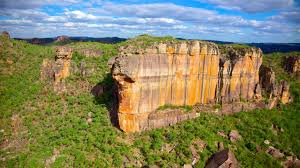 Billedresultat for kakadu n...