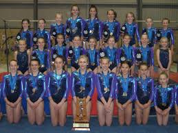 Image result for Tamworth Olympic Gymnastics Club