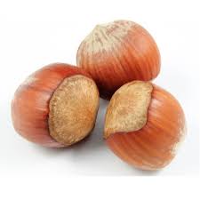 Attēlu rezultāti vaicājumam “Corylus avellana fruit”