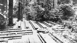 Image result for bohemian grove