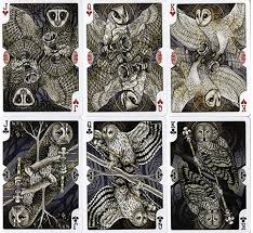 Attēlu rezultāti vaicājumam “Strigiformes”