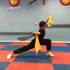 Image result for WUQI KUNG FU AND HEALTH SOCIETY