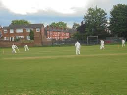 Image result for Trafford Metrovicks Cricket Club