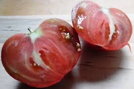 Afbeeldingsresultaat voor black sea man tomato