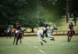 Image result for Kirtlington Park Polo Club