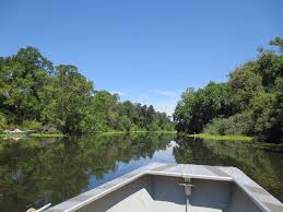 Image result for Riverside Sac